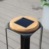 16.81"/12.01"H Outdoor lighting Aluminum Solar LED Lantern with Teak, USB Charging